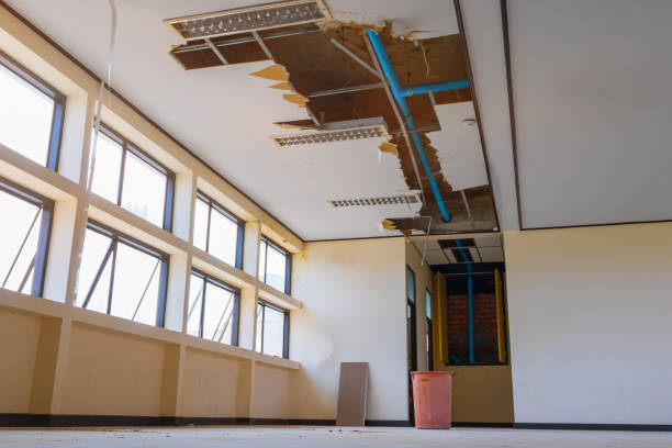 Trusted Vero Beach, FL Water damage restoration Experts
