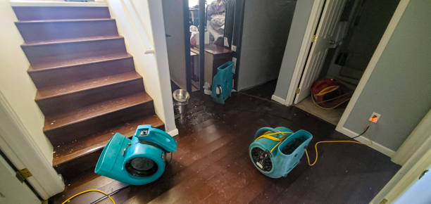 Best Sewage cleanup and water damage restoration  in Vero Beach, FL