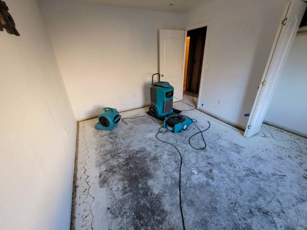 Best Mold removal after water damage  in Vero Beach, FL