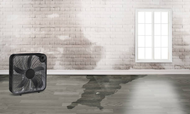 Best 24-hour water damage restoration  in Vero Beach, FL