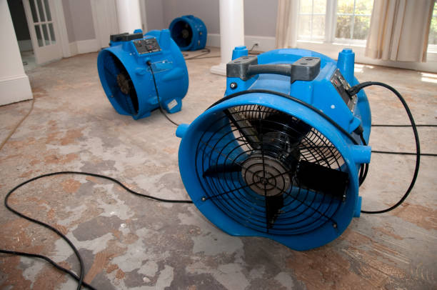 Best Flood restoration services  in Vero Beach, FL