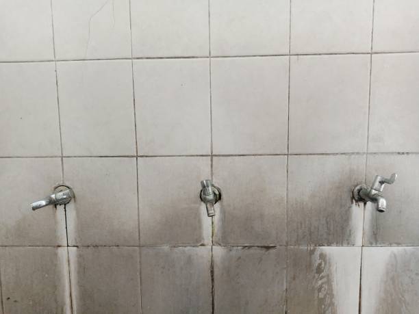 Best Local water damage restoration  in Vero Beach, FL