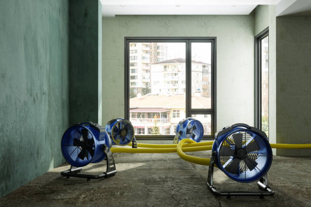 Best Water damage cleanup near me  in Vero Beach, FL